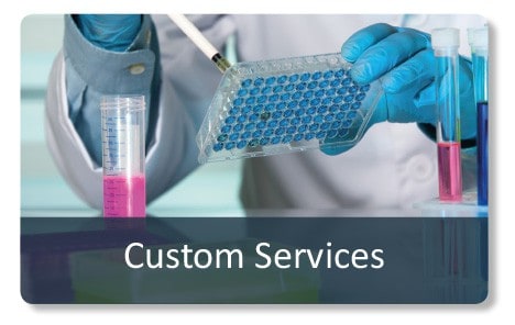custom antibody production service